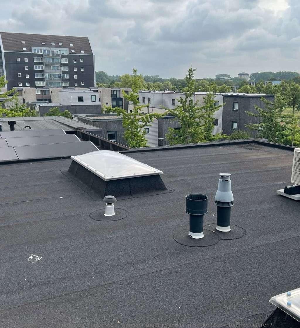 Dak Laten Inspecteren Spijkenisse