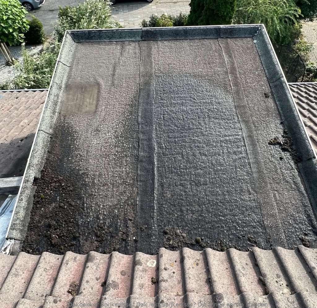 Dak Lekt Spijkenisse