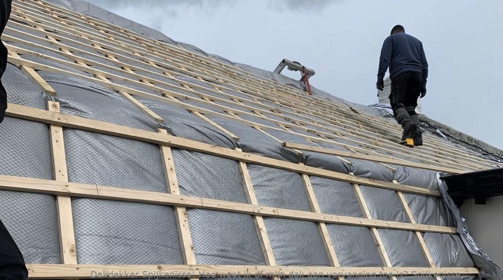 Dak Vervangen Spijkenisse 1
