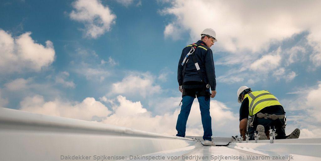 Dakinspectie Voor Bedrijven Spijkenisse