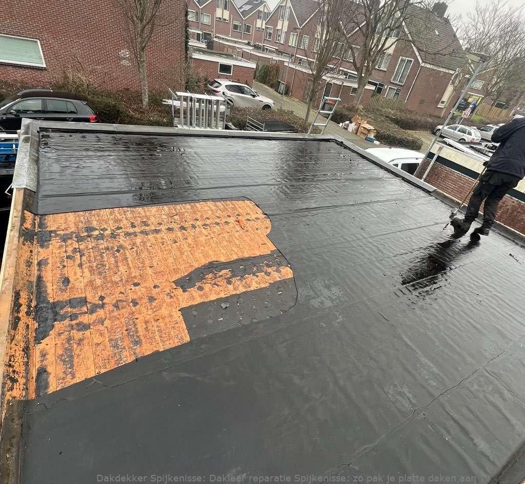 Dakleer Reparatie Spijkenisse