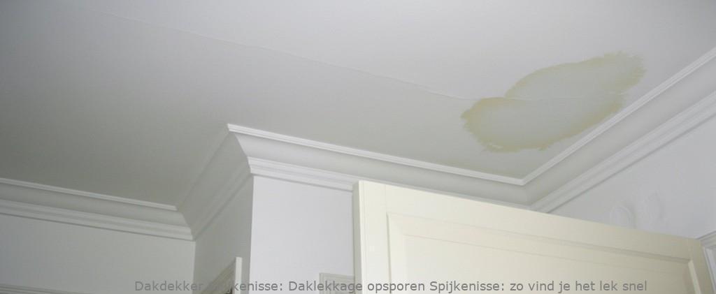 Daklekkage Opsporen Spijkenisse 1