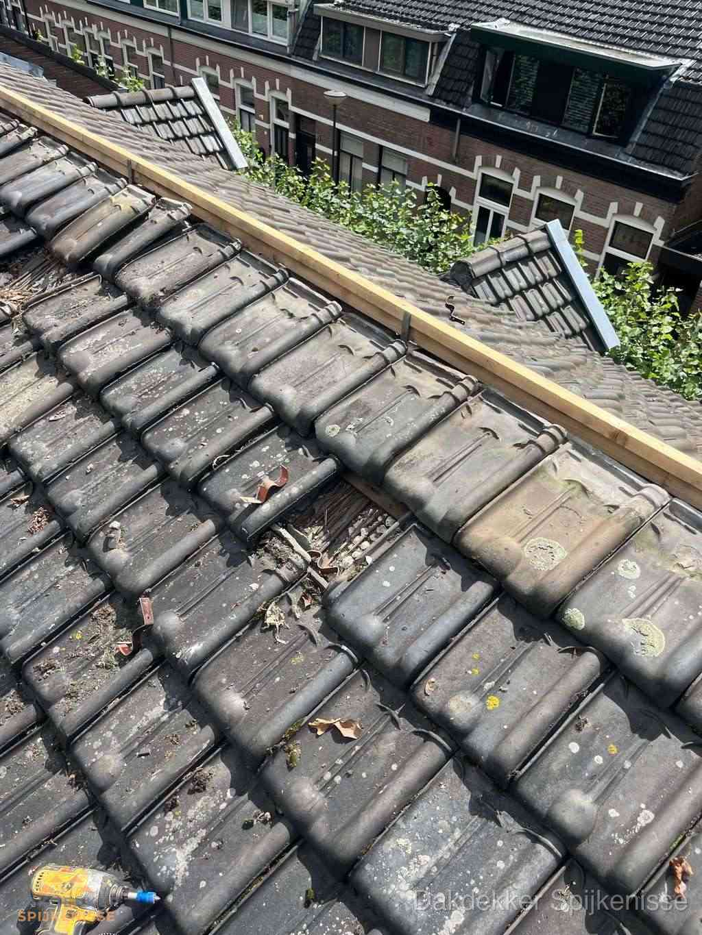 Dakonderhoud Spijkenisse