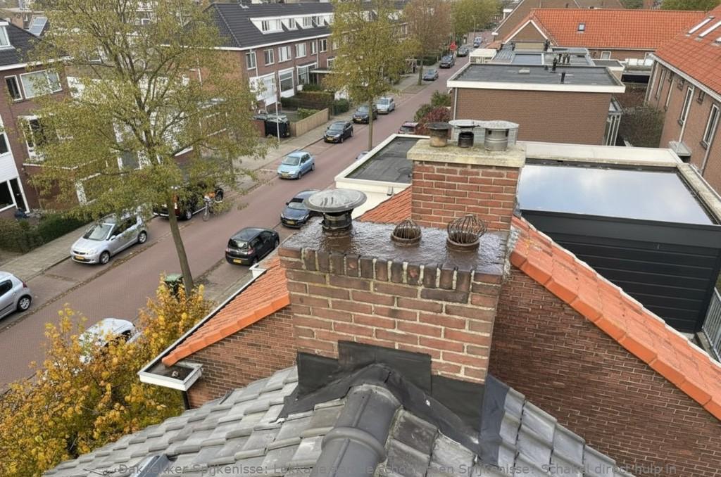 Lekkage Aan De Schoorsteen Spijkenisse
