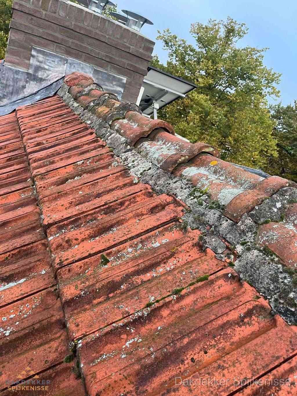 Renovatie Hellend Dak Spijkenisse