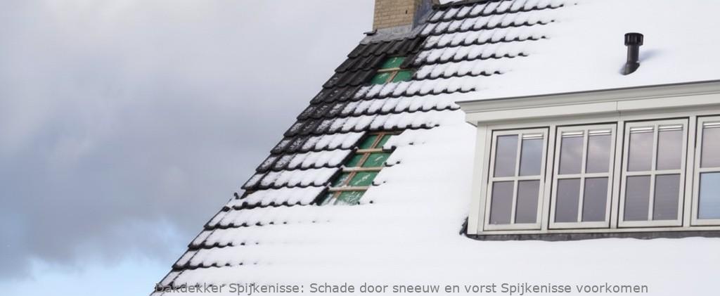 Schade Door Sneeuw En Vorst Spijkenisse