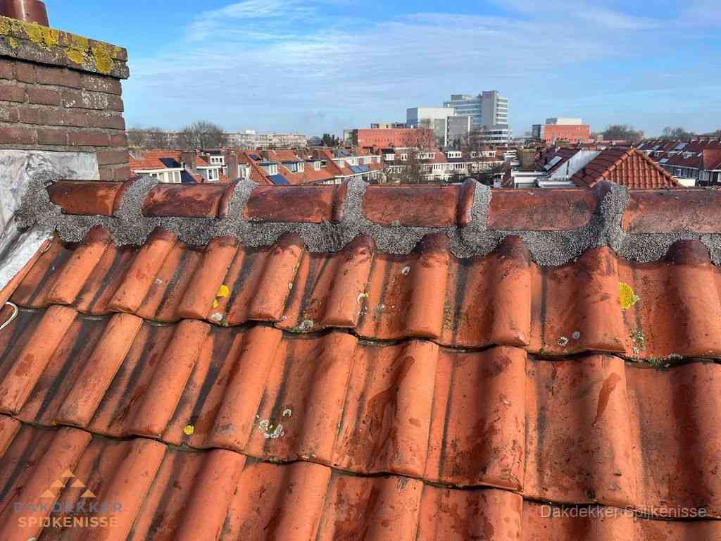 Spijkenisse Daken Renoveren