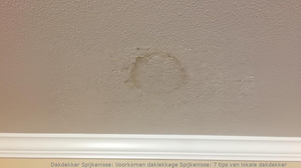 Voorkomen Daklekkage Spijkenisse