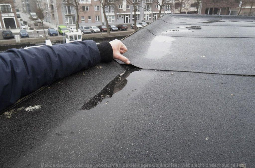 Voorkomen Daklekkages Spijkenisse