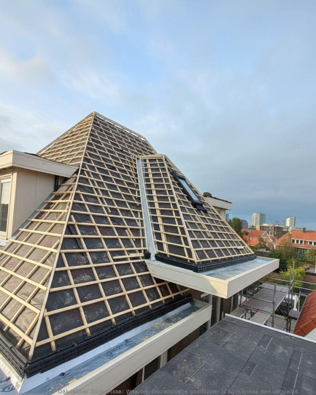 Waarom Dakrenovatie Goedkoper Is Spijkenisse